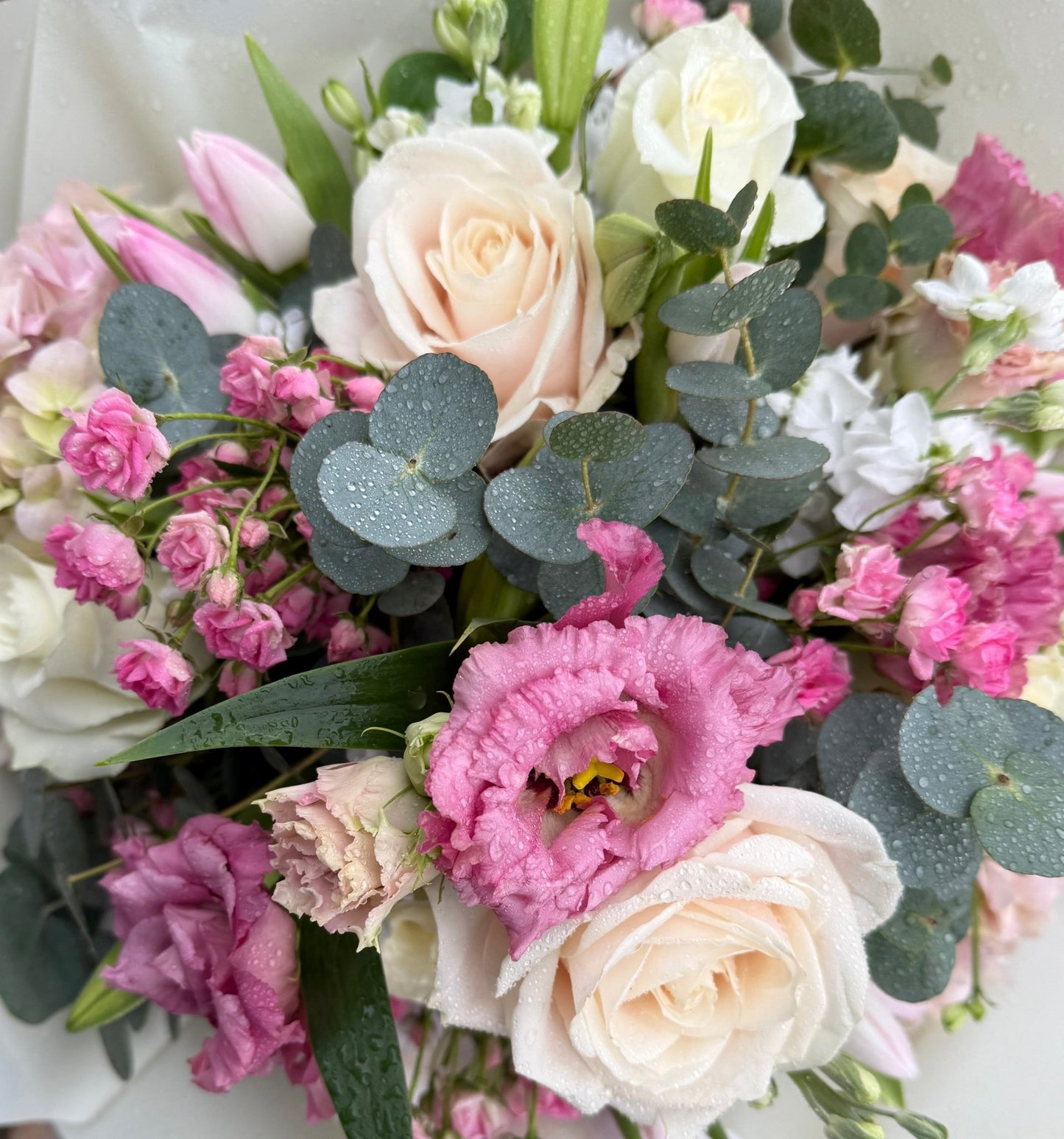 Modern Romance (Baby Pink & White)