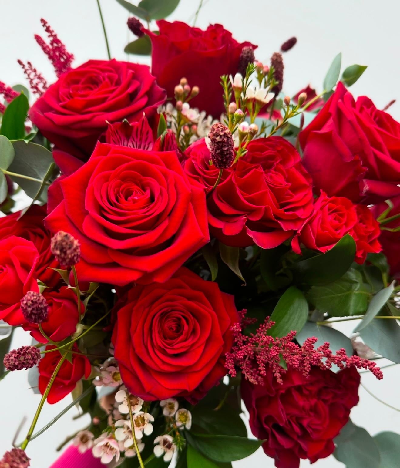 Scarlet Desire (All Red)