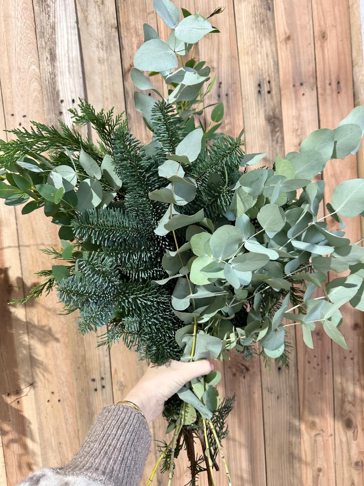 Festive Foliage Collection