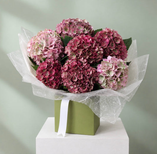 The Hydrangea Bunch